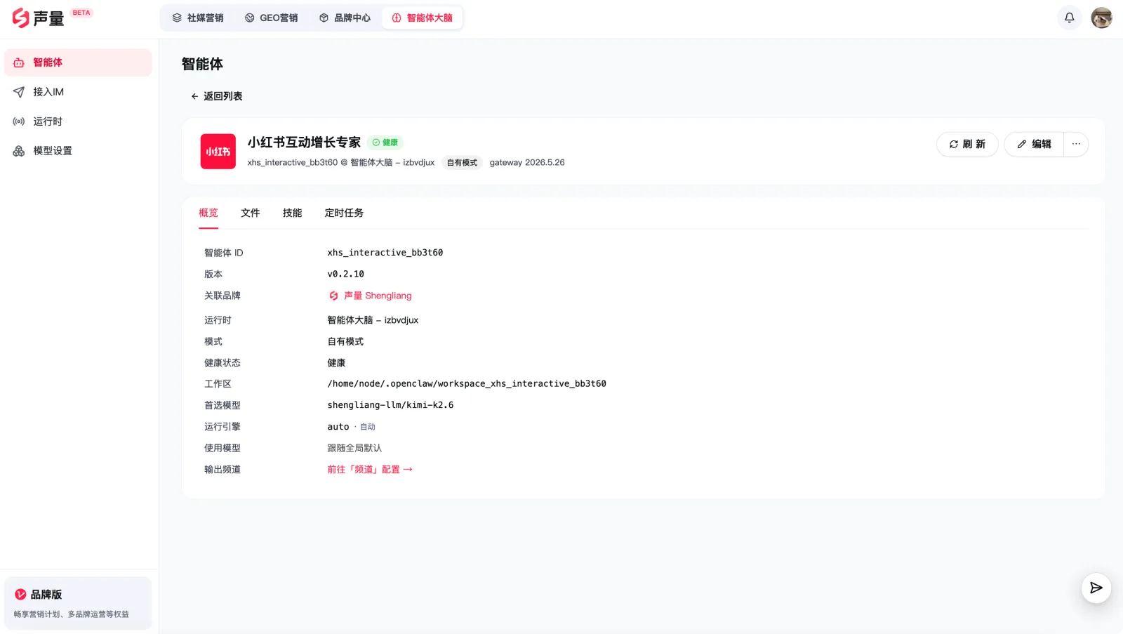 智能体详情页：概览、文件、技能、定时任务等标签页